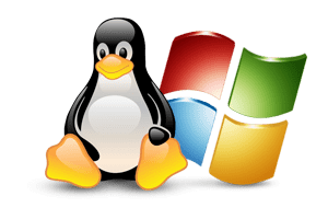 linux and windows web hosting